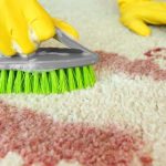 A Guide To Bloodborne Pathogens Safety And Your Organization’s ECP by 1stReporting.com.