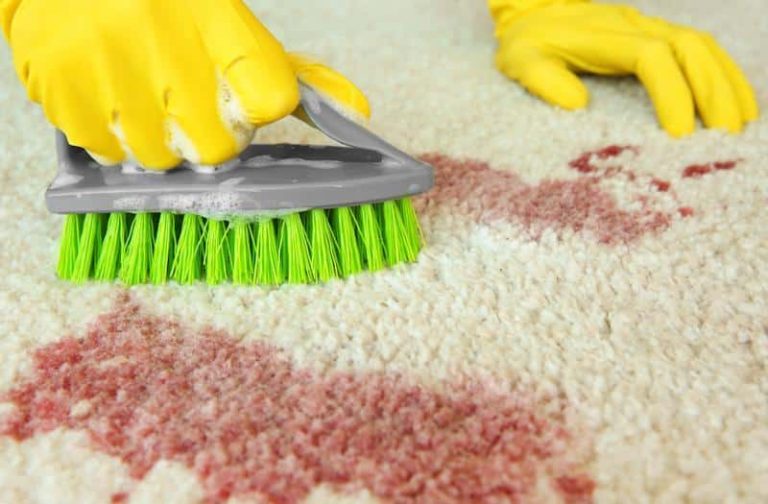 A Guide To Bloodborne Pathogens Safety And Your Organization’s ECP by 1stReporting.com.