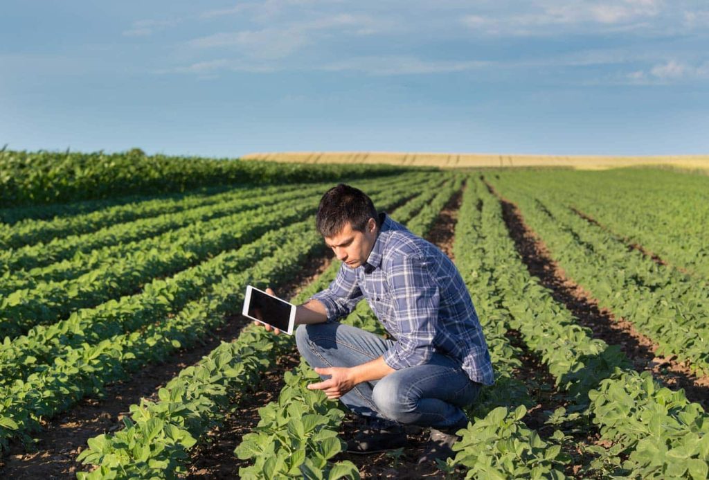 Field reports and observations aren't just for agriculture, but many industries need to decode the field report concept. Learn more about field reporting at 1stReporting.com.