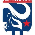 Valor Force logo - a security guarding company case study