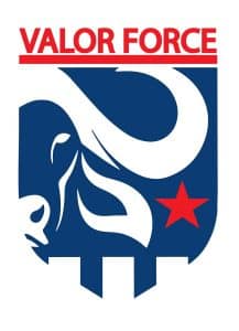 Case Study: How Valor Force Scaled & Streamlined Security Operations with 1st Reporting